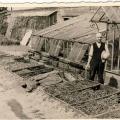 Brat Jardinier devant ses serres en 1960 (Photo René Lapczynski)