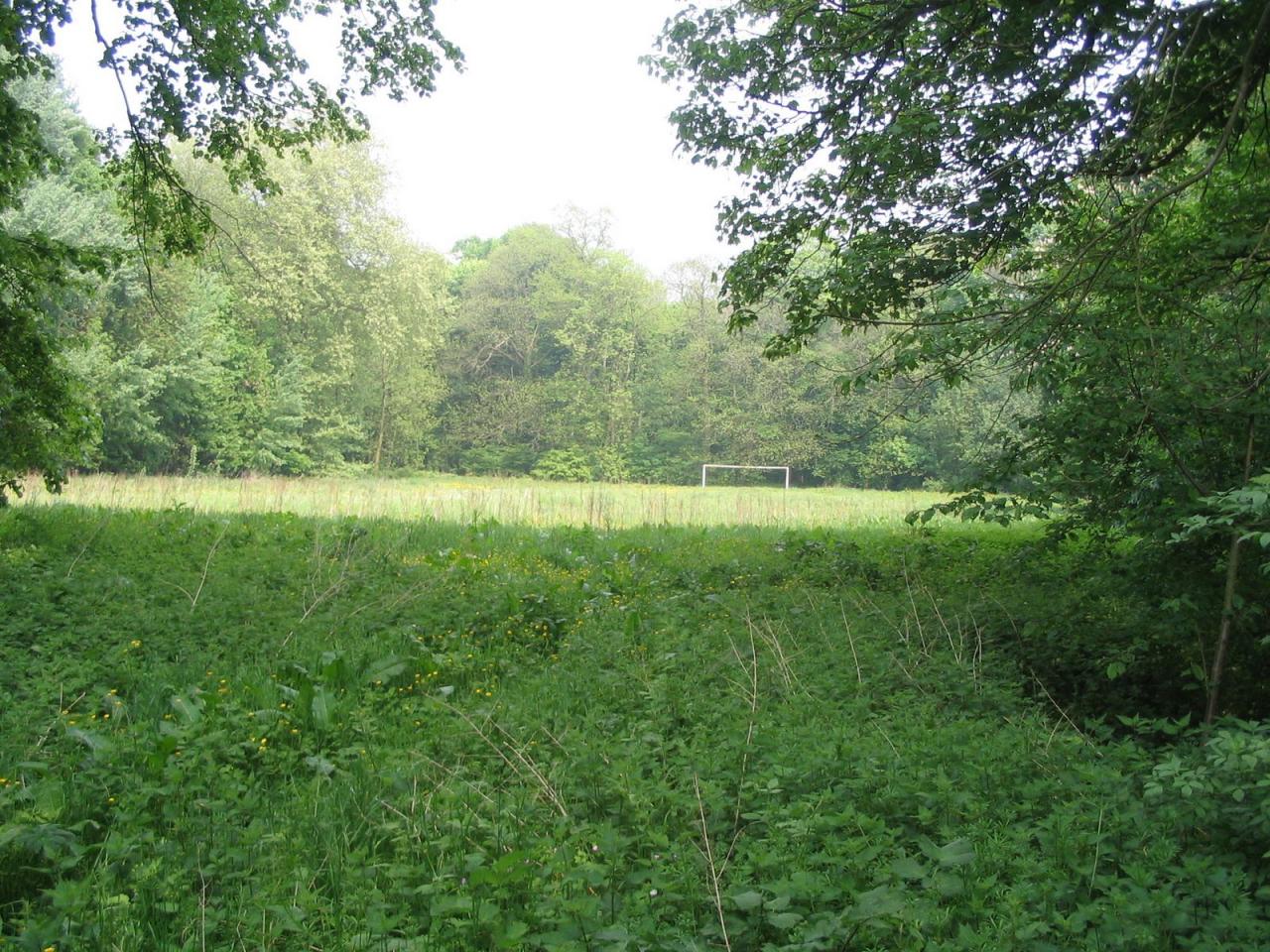 Internat Saint Casimir Vaudricourt 2008 (Photo Georges Burzicki)